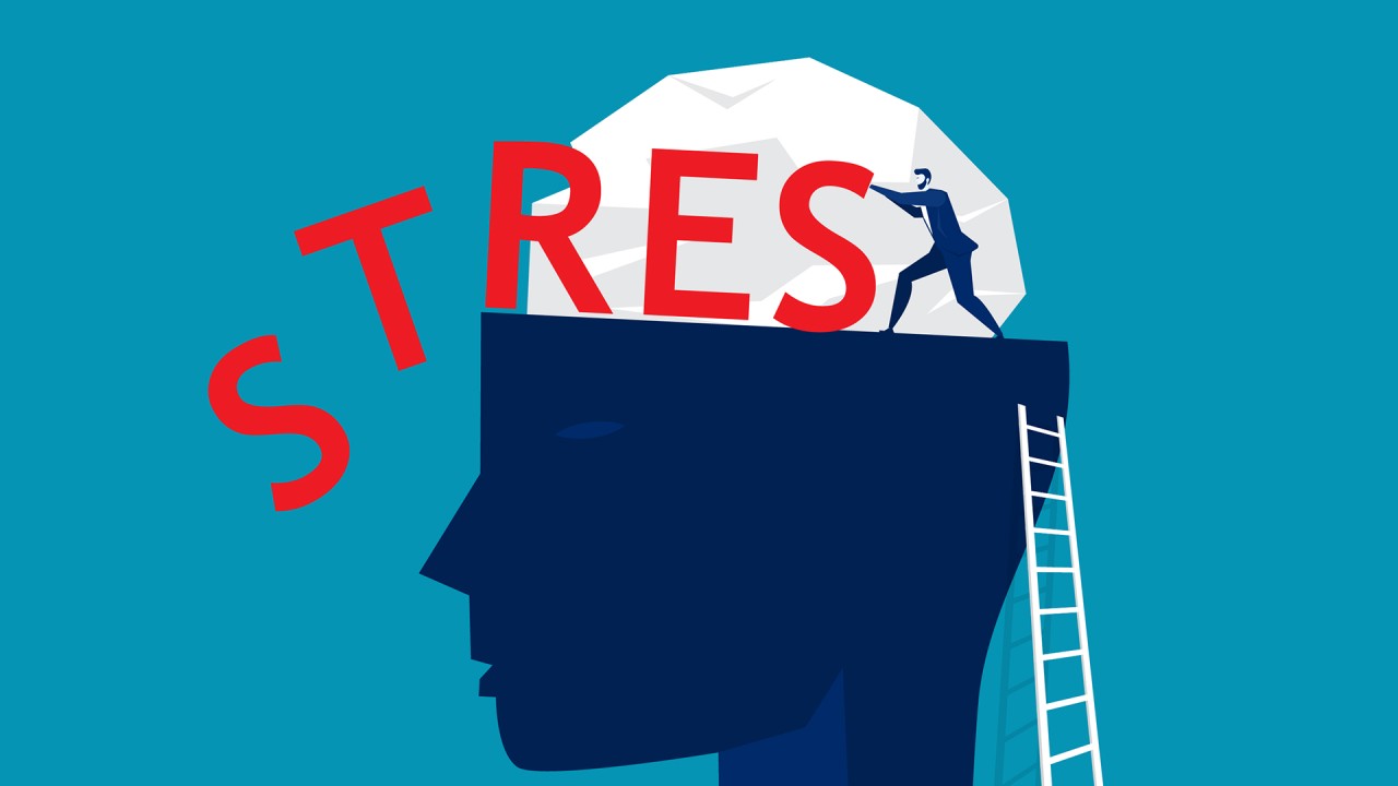 [Resim: 2_09_04_25_2_01_27.jpeg]